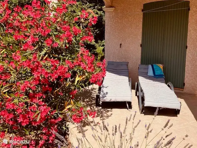 los olivers en Francia, Drôme, Mirabel-aux-Baronnies - villa