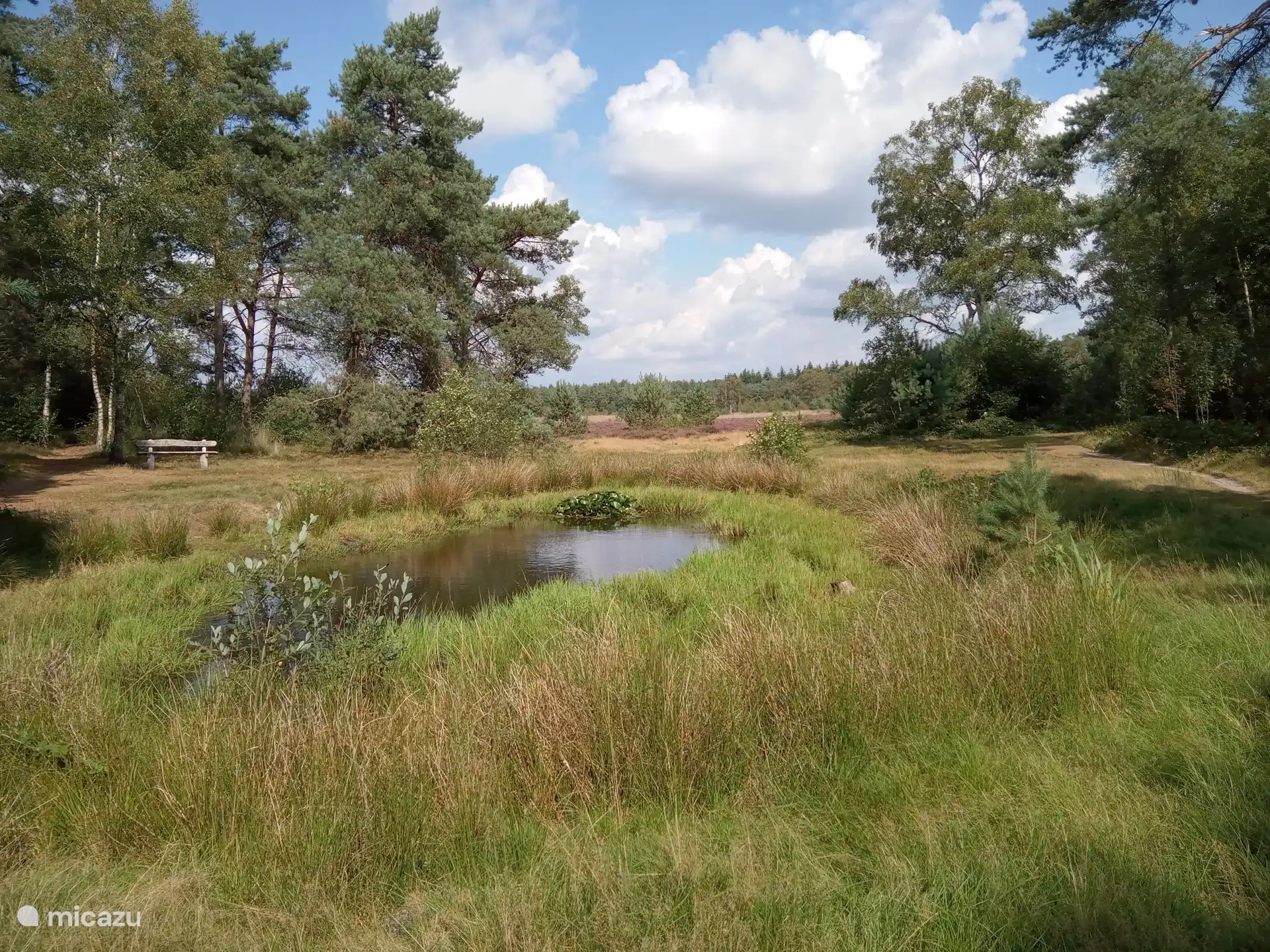 Bei Einbruch der Dunkelheit kommt die Tierwelt hierher, um zu trinken, kaum 10 Minuten zu Fuß vom Chalet entfernt
