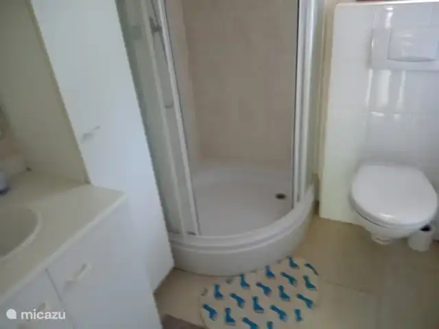 Location de Vacances Pays-Bas, Gueldre, Wolfheze, chalet - Wyandotte II Belle douche avec poignée et repose-pieds