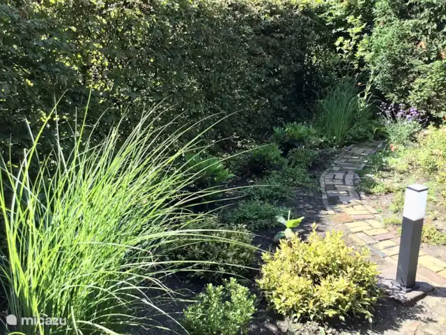 Location de Vacances Pays-Bas, Gueldre, Wolfheze, chalet - Wyandotte II