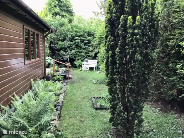 Location de Vacances Pays-Bas, Gueldre, Wolfheze, chalet - Wyandotte II