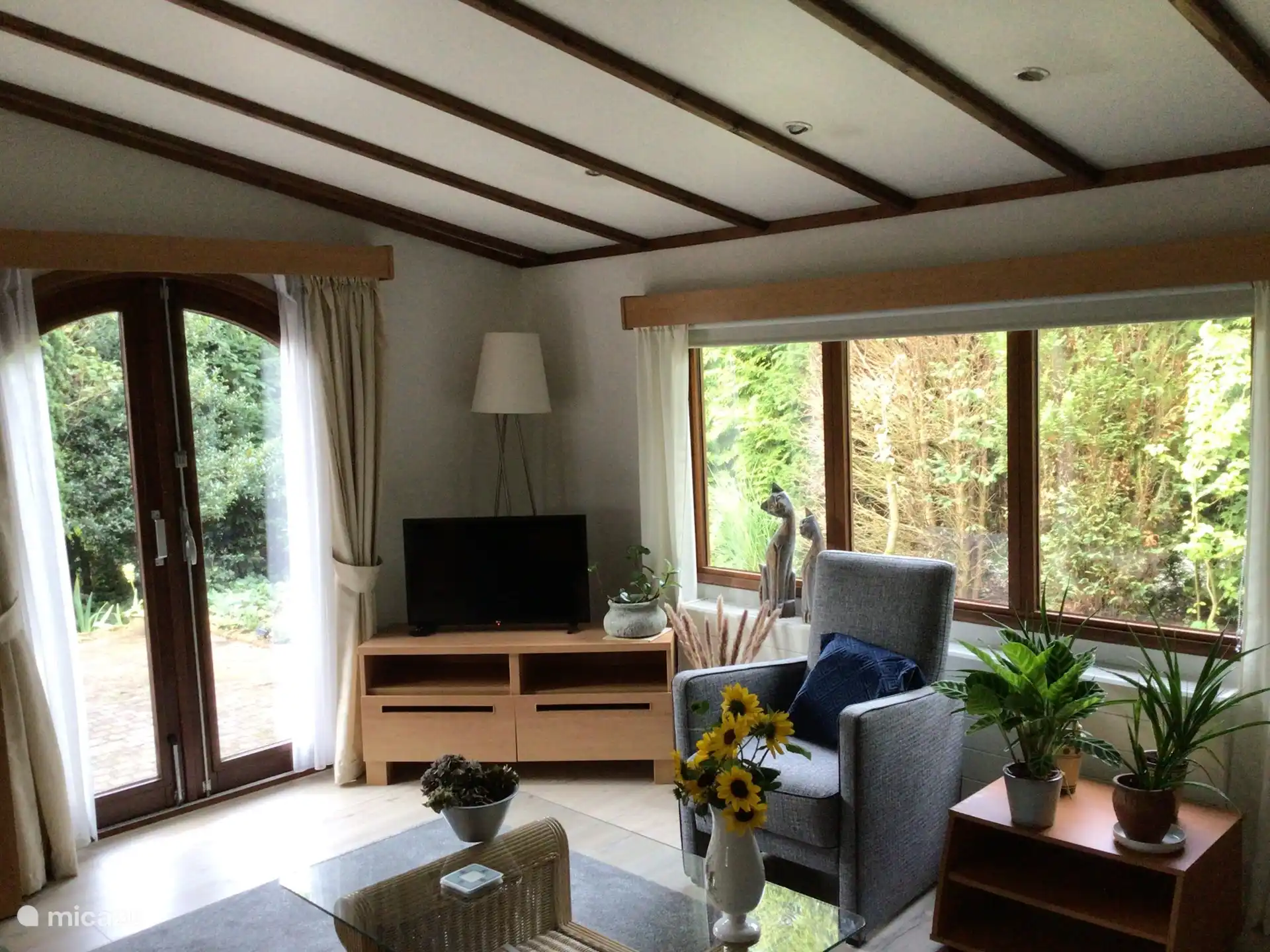 TV, DVD-Player mit DVDs, Radio und schnellem WLAN