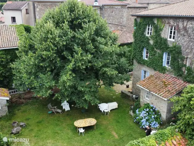 Les Chambres de la Closerie | France, Loire, Saint-Didier-sur-Rochefort - villa notre jardin privé avec un beau tilleul