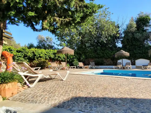 Location de Vacances Portugal, Algarve, Vale Judeu, appartement - Casa do Alto appartement au rez-de-chaussée 21