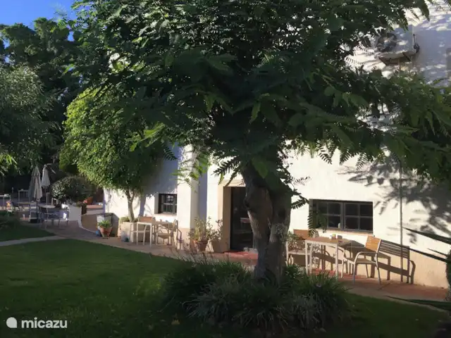 Location de Vacances Portugal, Algarve, Vale Judeu, appartement - Casa do Alto appartement au rez-de-chaussée 21