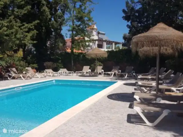 Location de Vacances Portugal, Algarve, Vale Judeu, appartement - Casa do Alto appartement au rez-de-chaussée 21 Une belle piscine, avec plein de transats.