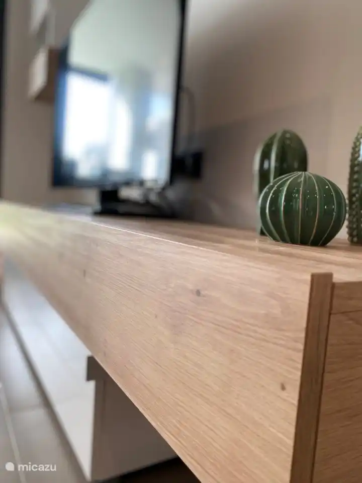 Salon confortable avec Smart TV.