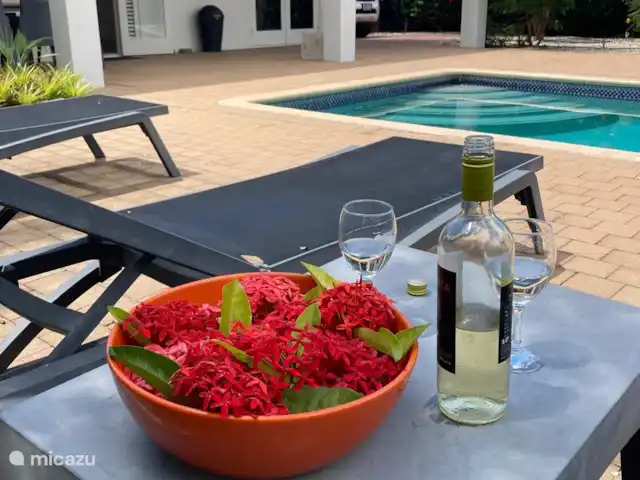 Villa Coral Beach en Curazao, Bandabou (oeste), Coral Estate, Rif St.Marie - villa