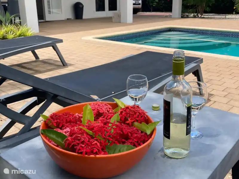 Villa Coral Beach en Curazao, Bandabou (oeste), Coral Estate, Rif St.Marie - Villa Villa Coral Beach en Curazao, Bandabou (oeste), Coral Estate, Rif St.Marie - Villa