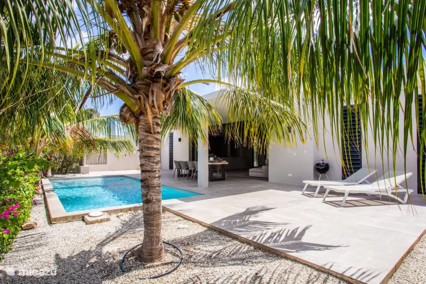 Der tropische Garten mit Ihren eigenen Kokosnüssen