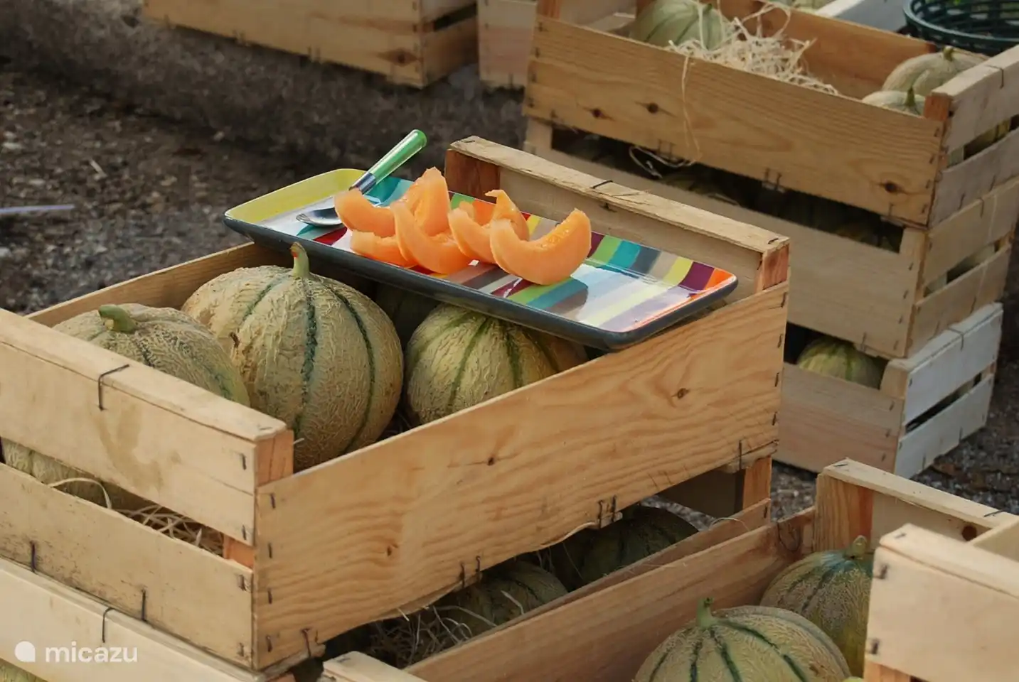 Frische lokale Melonen auf dem Markt