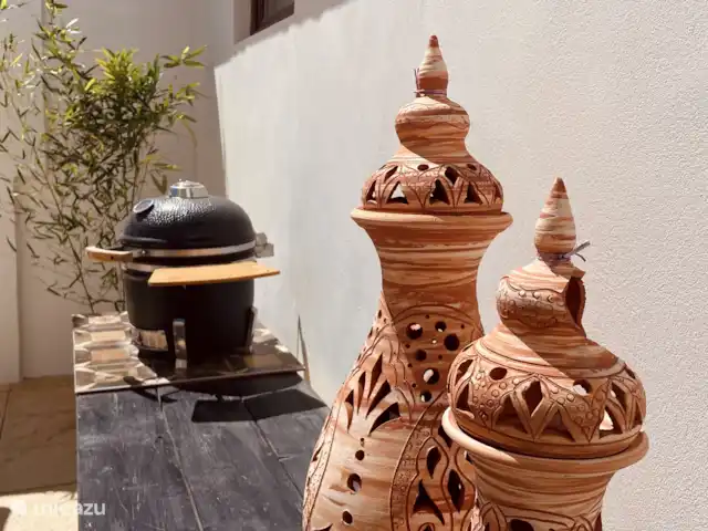 El sueño de Andalucia huren in Spanje, Andalusië, Huércal-Overa - appartement Privé terras met Kamado barbecue twee slaapkamer appartement