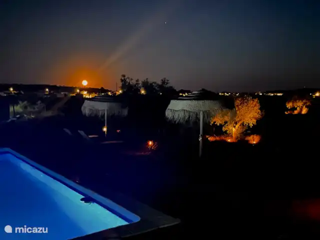 El sueño de Andalucia huren in Spanje, Andalusië, Huércal-Overa - appartement Zwembad gebied bij nacht