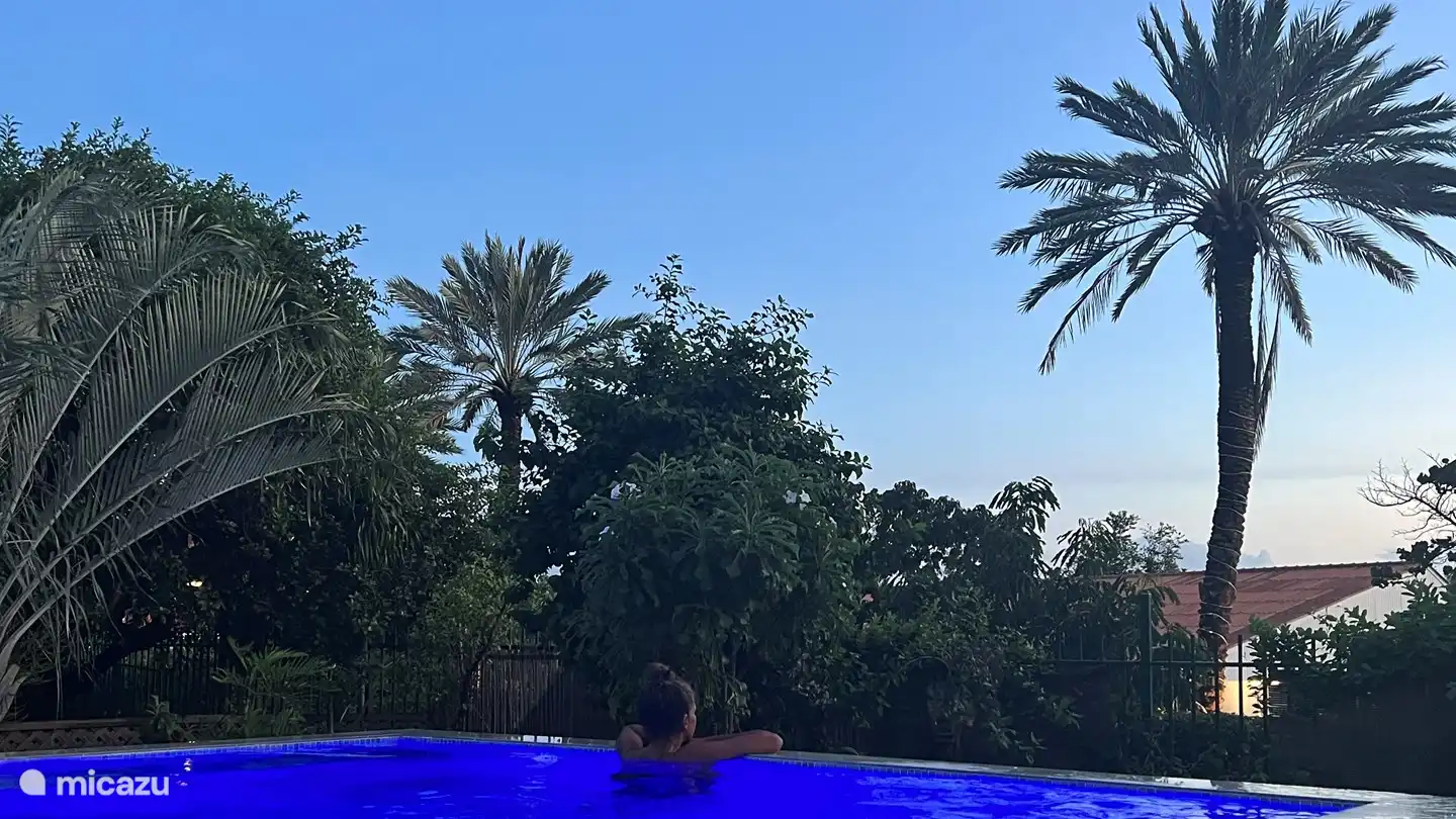 Merveilleux rêve...