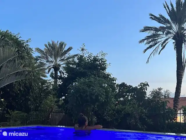 villa en Curazao, Curazao Centro, Piscadera – Invernadero Palmas Curacao Maravilloso sueño...