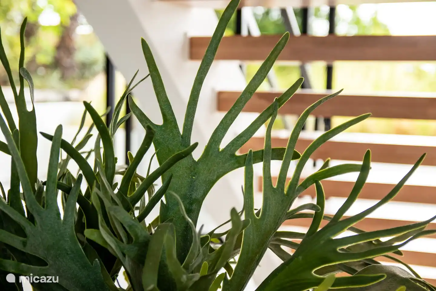 Einige grüne Details