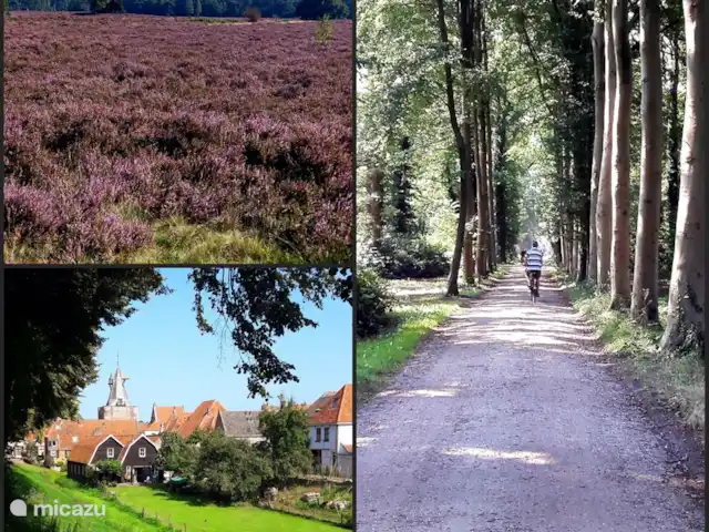 vakantiehuis huren in Nederland, Gelderland, Ermelo – Veluwe Home De Bosvogel
