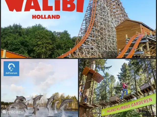 vakantiehuis huren in Nederland, Gelderland, Ermelo – Veluwe Home De Bosvogel