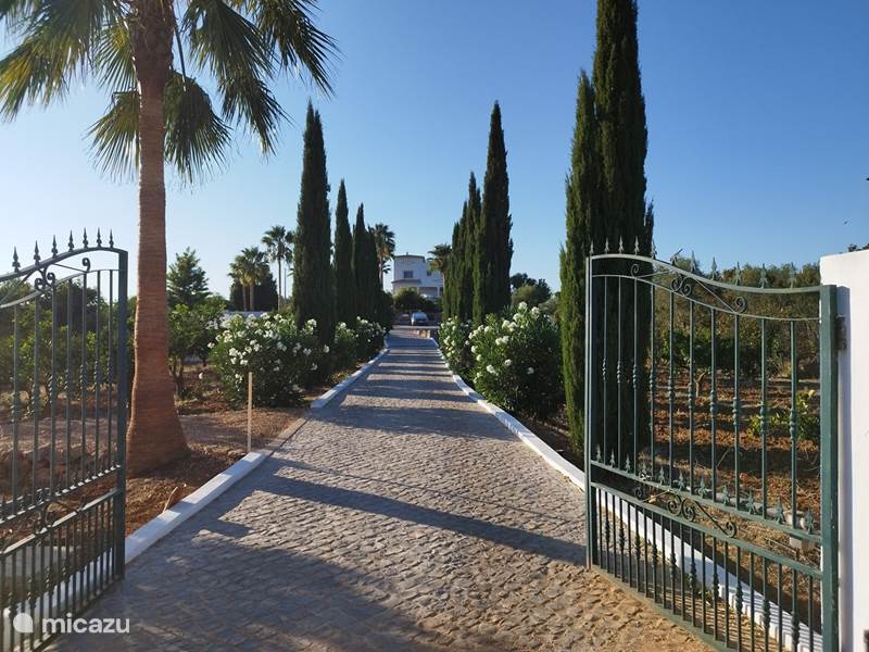Ferienwohnung Portugal, Algarve, Paderne Villa Villa mit Ferienhaus und privatem Pool