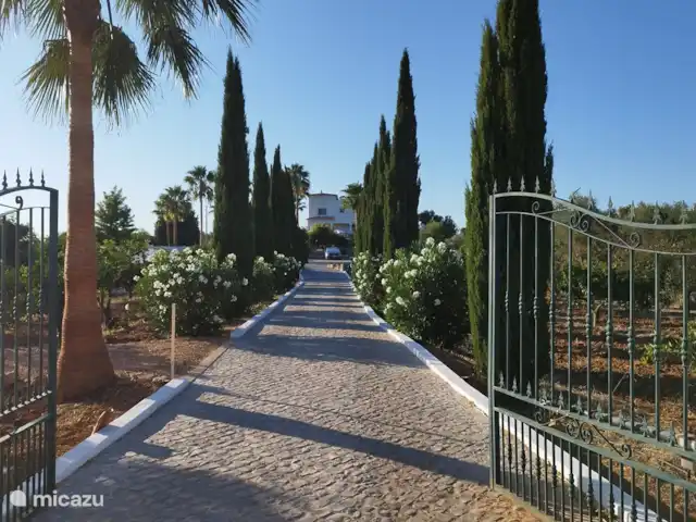 Entrecolinas | Portugal, Algarve, Paderne - villa L 'allée