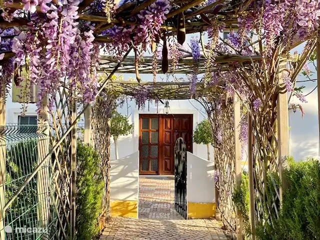 Entrecolinas | Portugal, Algarve, Paderne - villa Le jardin