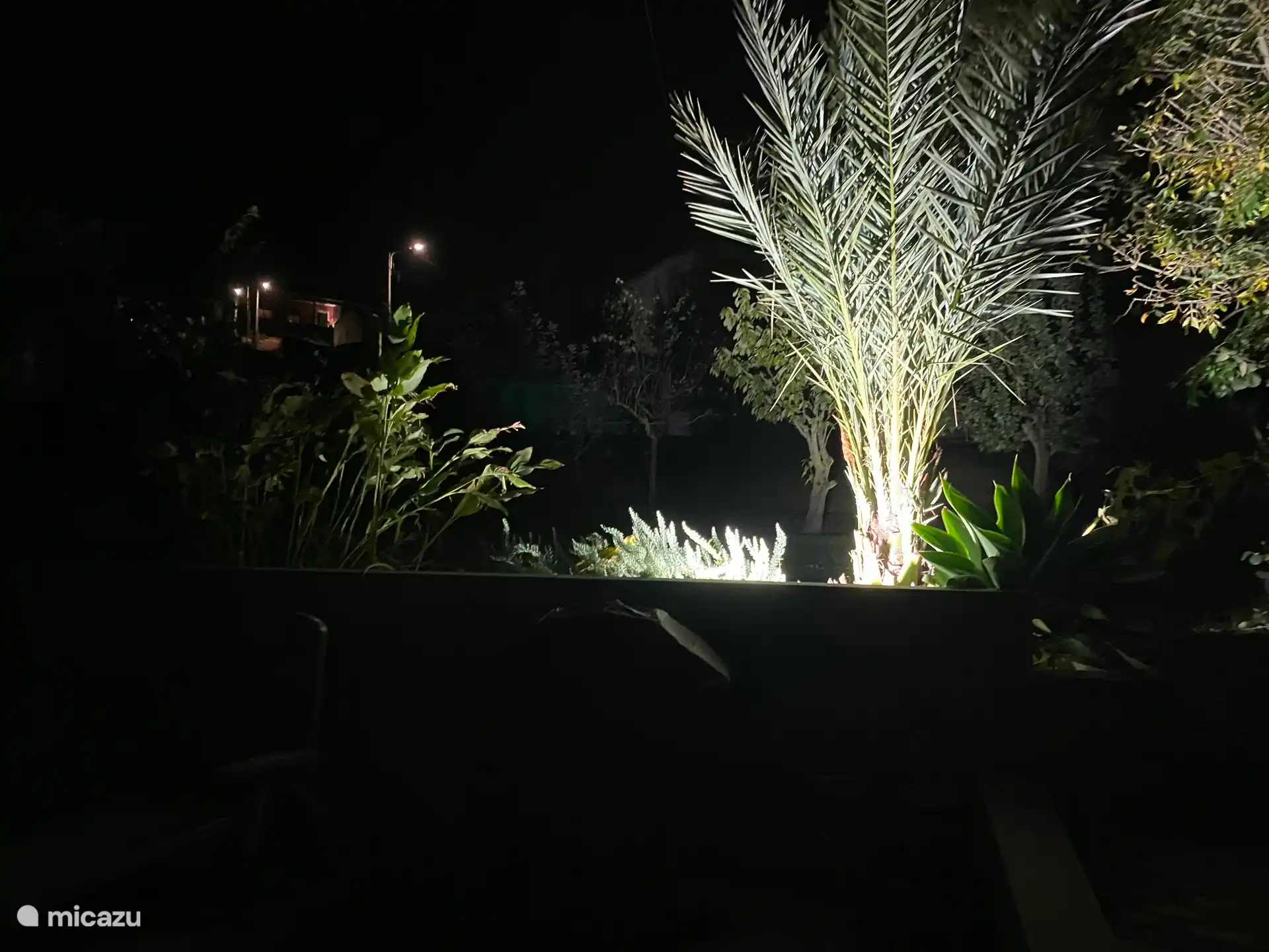 Verlichting bij de tuin