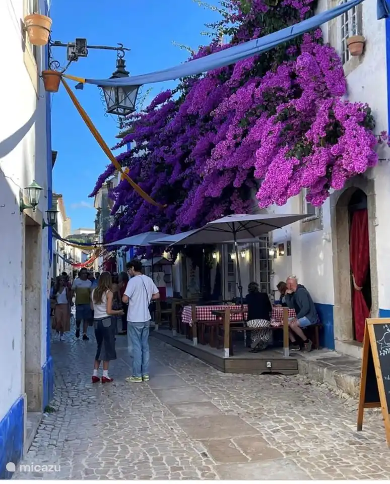 Obidos with beautiful flowers and cozy streets.
Let's go back to antiquity.
You can rent knight's clothing there.
And walk over the battlements as if time has gone back