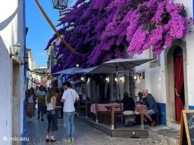 Casa Leo Mar | Portugal, Costa de Prata, Santa Catarina CLD - bungalow Obidos avec de belles fleurs et des rues confortables.
Revenons à l’Antiquité.
Vous pouvez y louer des vêtements de chevalier.
Et marcher sur les remparts comme si le temps était revenu en arrière