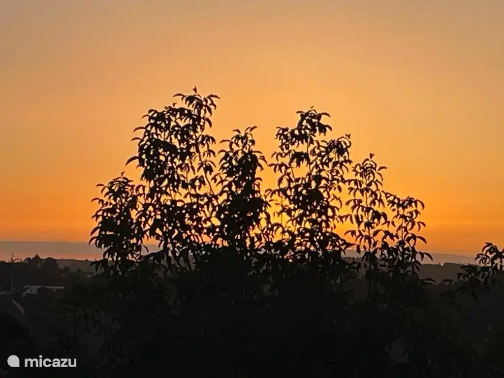 The same sky with silhouette of the trees. 
Created by a guest
Is also beautiful