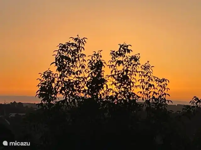Casa Leo Mar | Portugal, Costa de Prata, Santa Catarina CLD - bungalow Le même ciel avec la silhouette des arbres. 
Créé par un invité
Est aussi beau