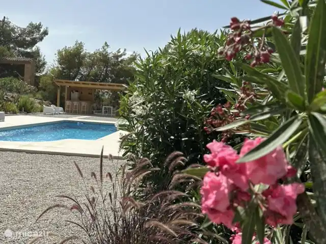 Casa Los Olivos Vista - Chambre Farga | Espagne, Costa Cálida, Aguilas - chambres d'hôtes Laurier rose en fleur.