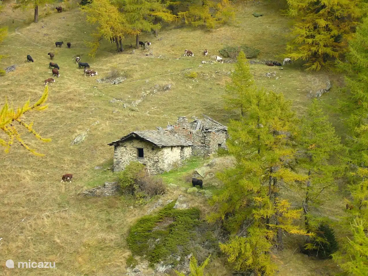 Das Tal von Vertosan erstreckt sich bis auf 1870 Meter über dem Meeresspiegel. Es handelt sich um eine erhaltene Ecke der Berge, authentisch, lebendig, bei Touristen wenig bekannt, übersät mit zahlreichen Almen. Hier die Alpage de Clapey in den Farben des Herbstes.