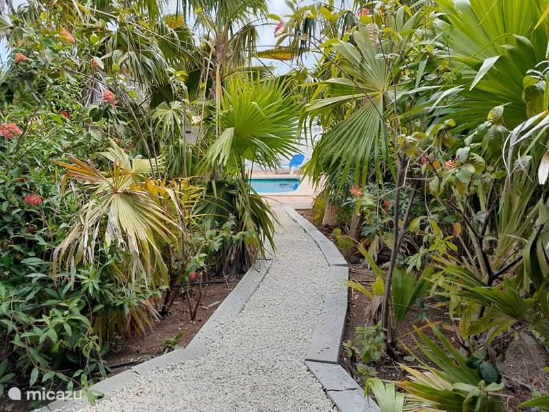 Vakantiehuis Curaçao, Curacao-Midden, Julianadorp Appartement Kas di Ala app. Parkiet met zwembad