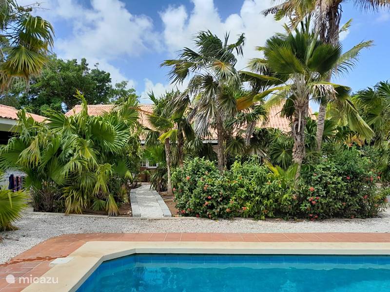 Holiday home in Curaçao, Curacao-Middle, Julianadorp Apartment Kas di Ala app. Parakeet with swimming pool