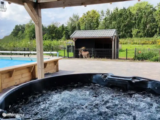 La Ferme Blanche | Pays-Bas, Drenthe, Drouwenermond - ferme spa et piscine