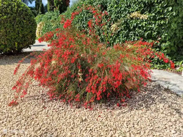 Villa Paradis | Espagne, Costa Blanca, Jávea - villa Beau jardin méditerranéen