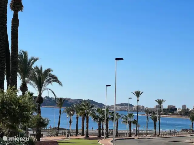 Ático de lujo con vistas al mar en España, Costa Cálida, Puerto de Mazarrón - apartamento Hermosa vista del bulevar con hermosas palmeras.
