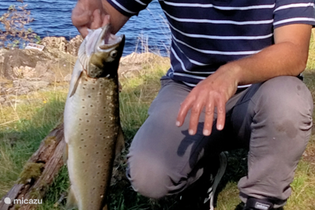 Pêche dans les lacs Vravatn et Nisser.