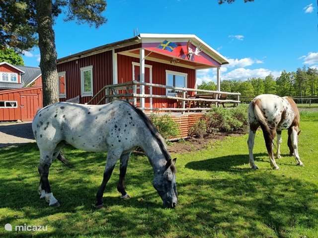 Casa vacacional Suecia, Haaland – casa rural cabina de billy