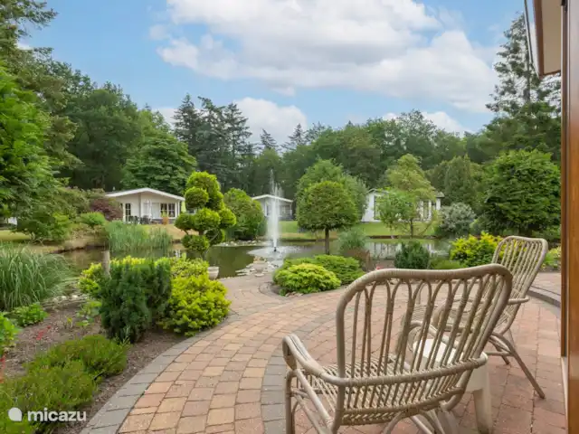 Maison de vacances Kootwijk  | Pays-Bas, Gueldre, Kootwijk - chalet Terrasse arrière