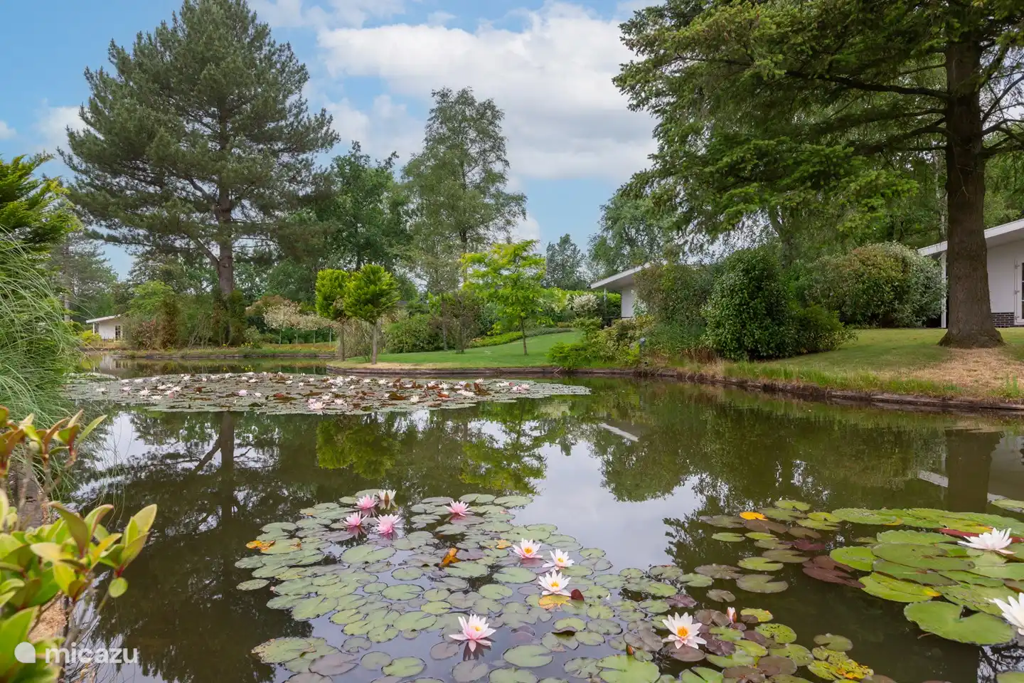 Pond adjacent to the garden