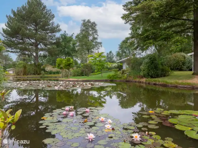 Maison de vacances Kootwijk  | Pays-Bas, Gueldre, Kootwijk - chalet Étang adjacent au jardin