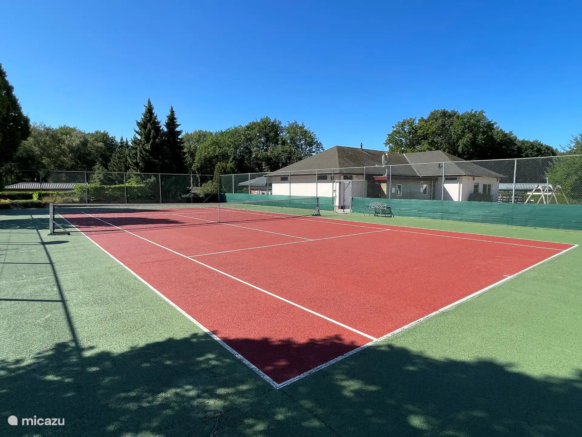 Tennis boss (free use)