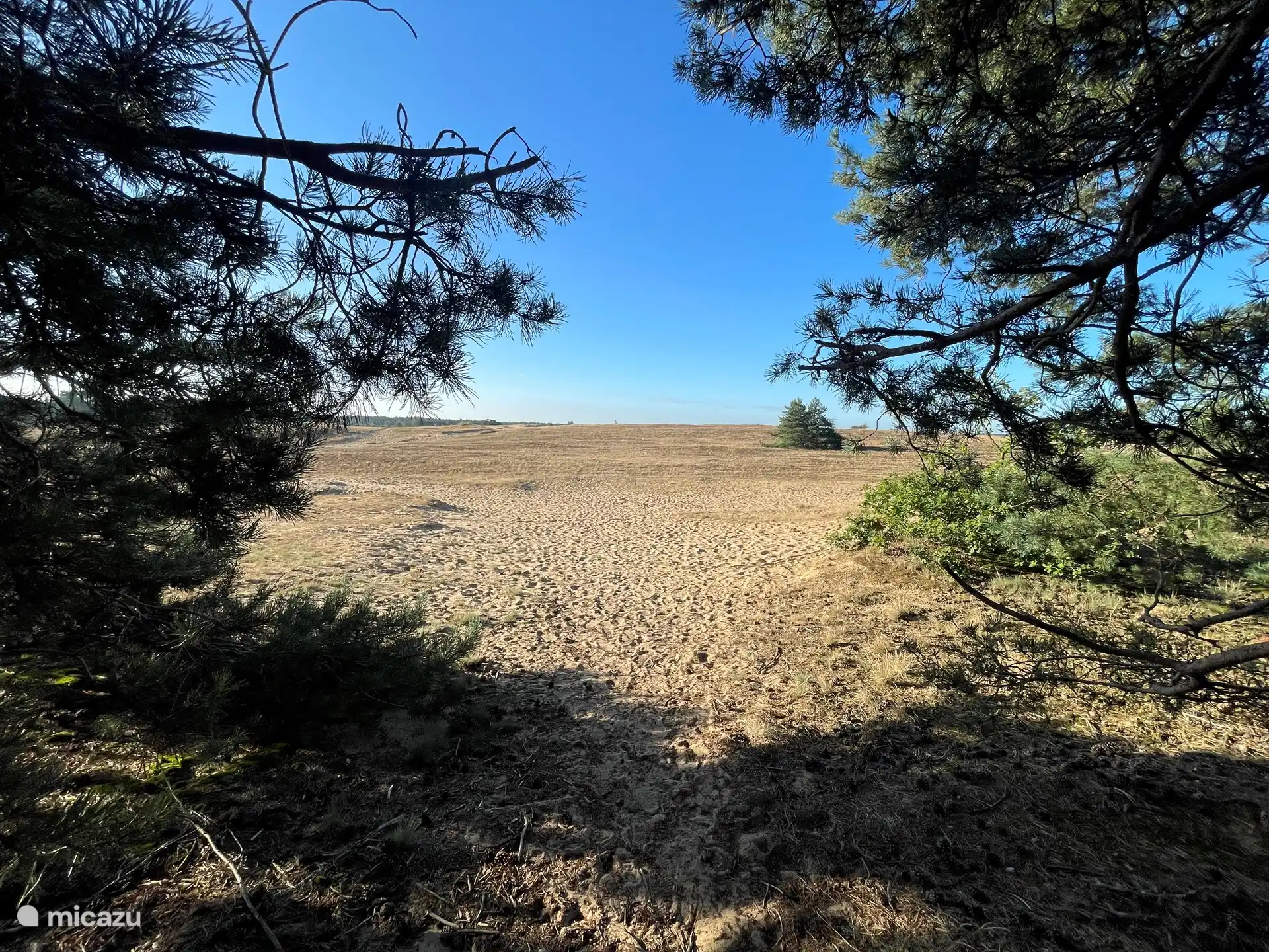 Kootwijkerzand (directly opposite the park)