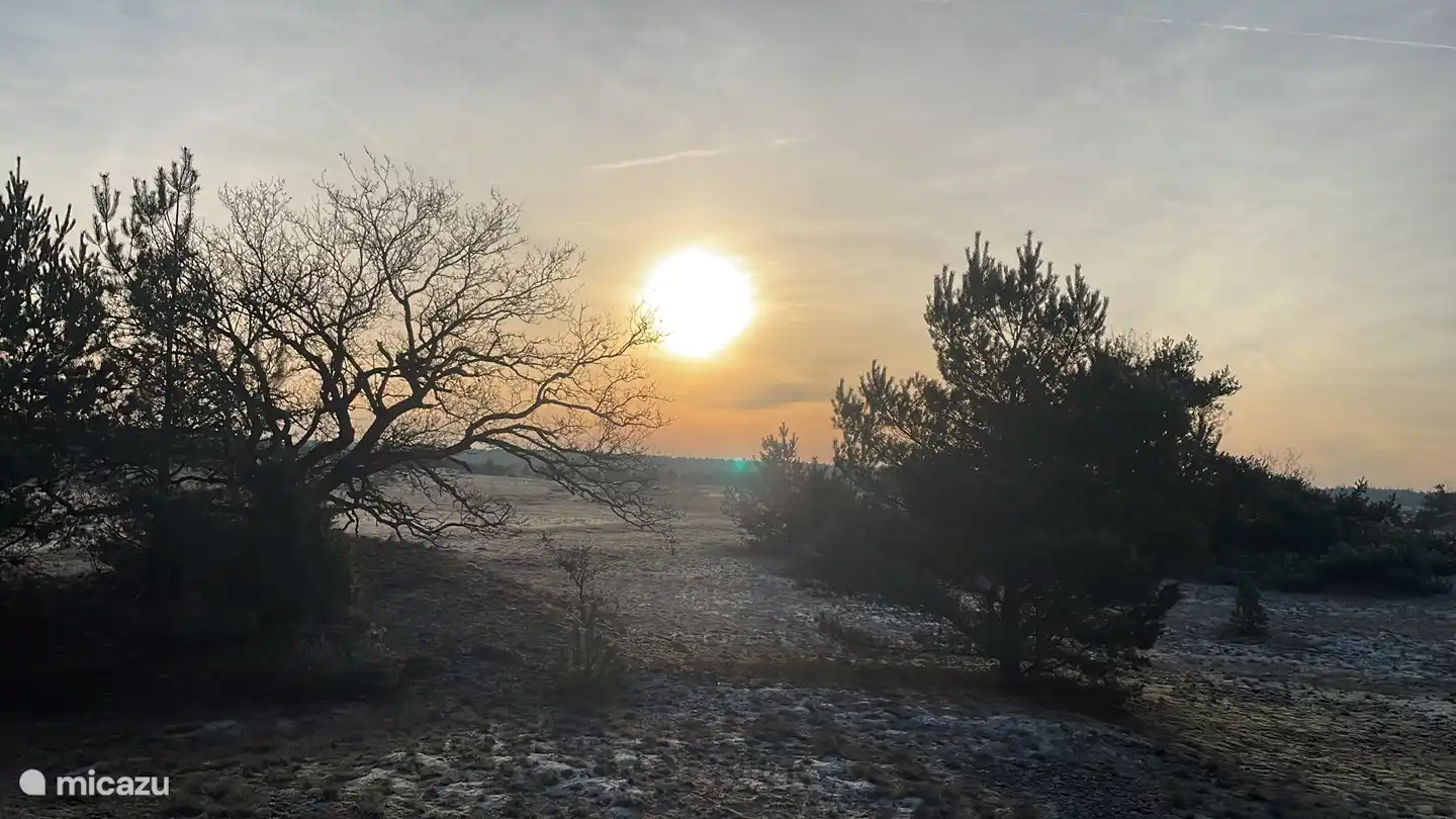 Kootwijkerzand (directly opposite the park)