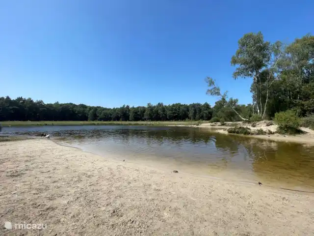 Maison de vacances Kootwijk  | Pays-Bas, Gueldre, Kootwijk - chalet Loafles (au bout du Heetweg, accessible à vélo)