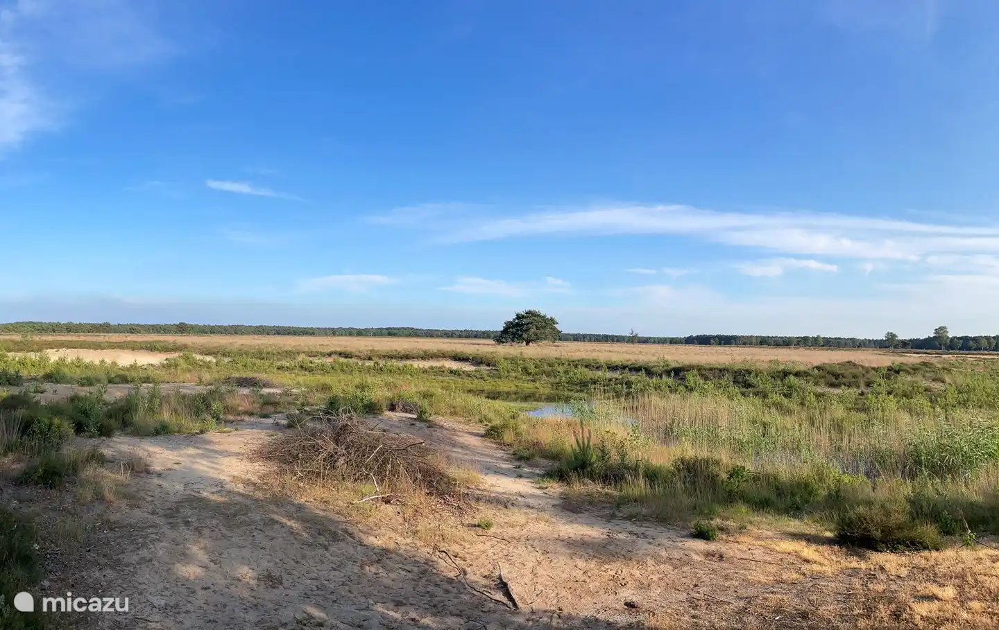 Stroese heath (within cycling distance)