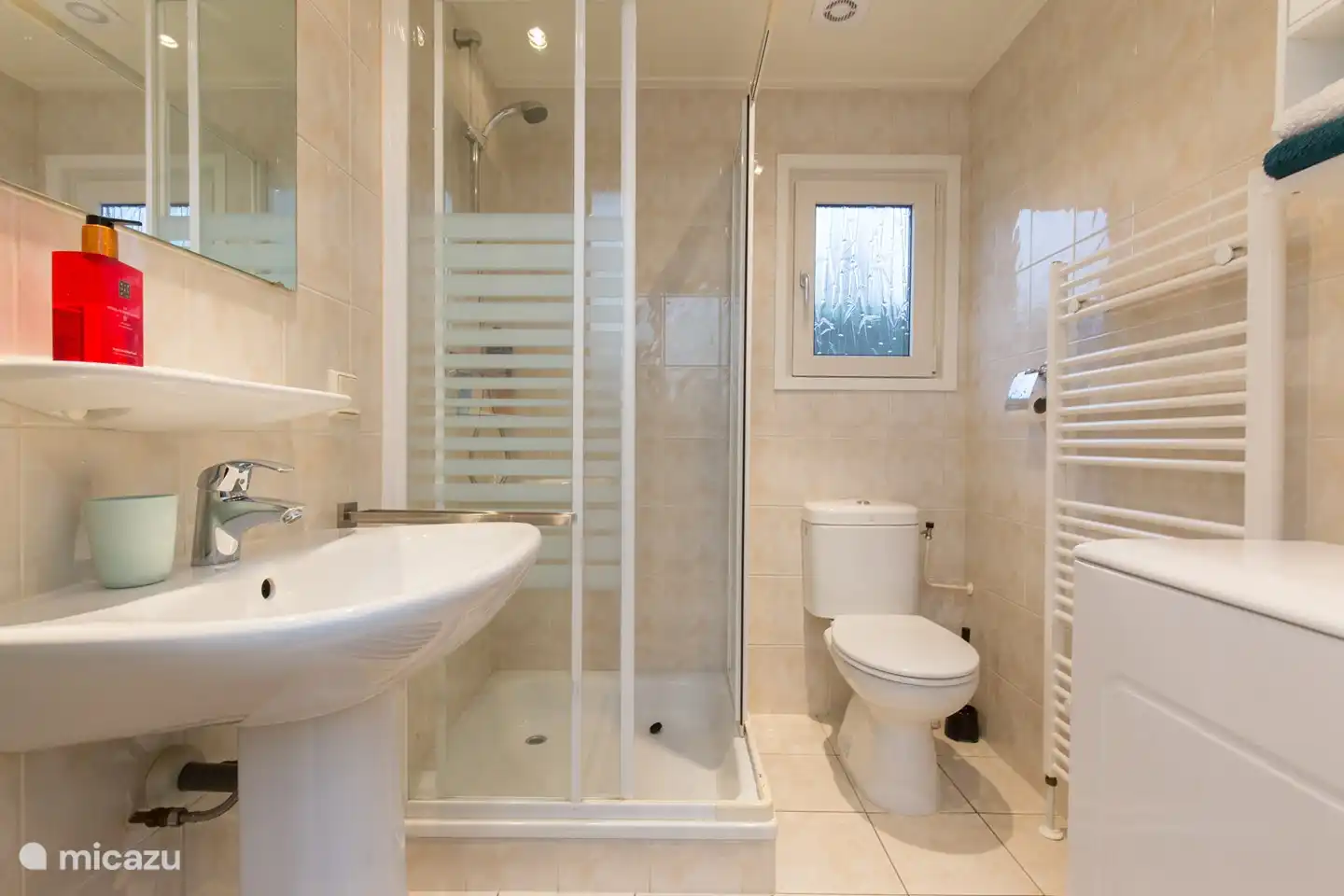 Bathroom (with washing machine)