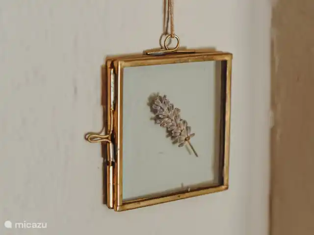 Finca Zennay Malaga  | Espagne, Andalousie, Canillas de Aceituno - finca Décoration