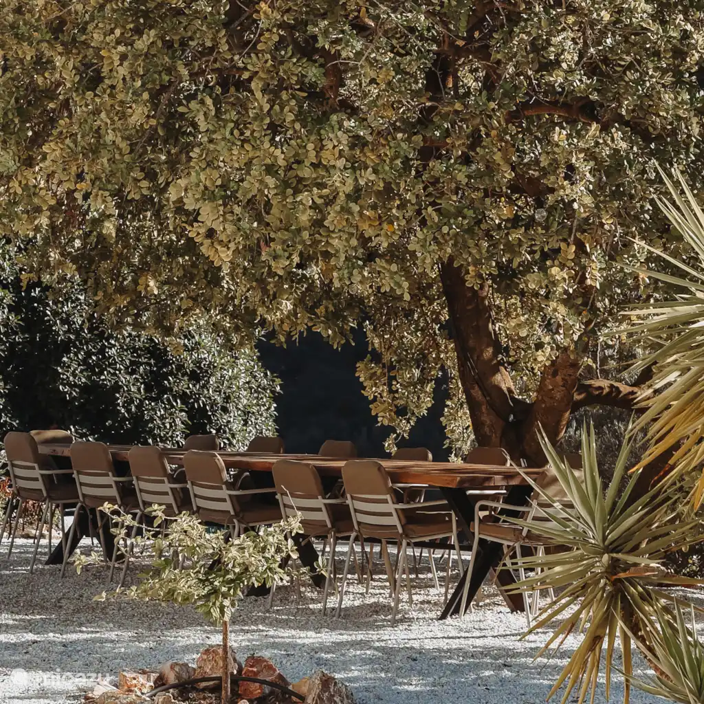 Finca Zennay Malaga, foto 5